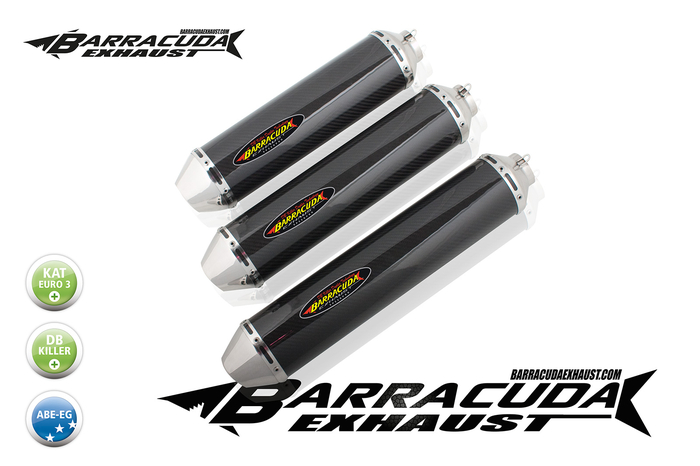 Barracuda RS-R 450 Cone Series rund Yamaha XJR 1200 95-06 4in1 Komplettanlage mit ABE